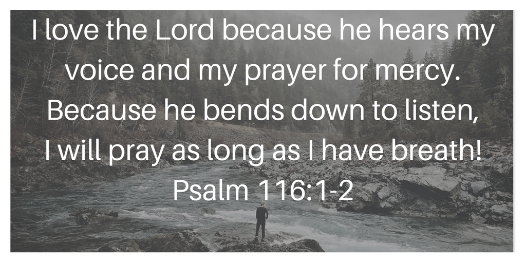 Psalm 116